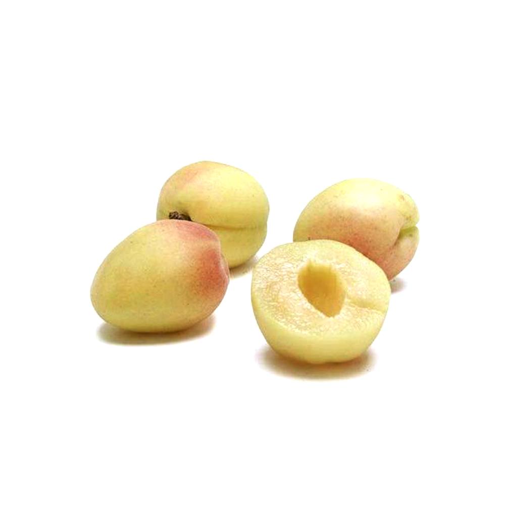 Apricot Desi - 500g خوبانی دیسی
